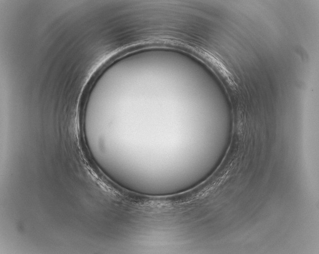 X0000115550888200911201758