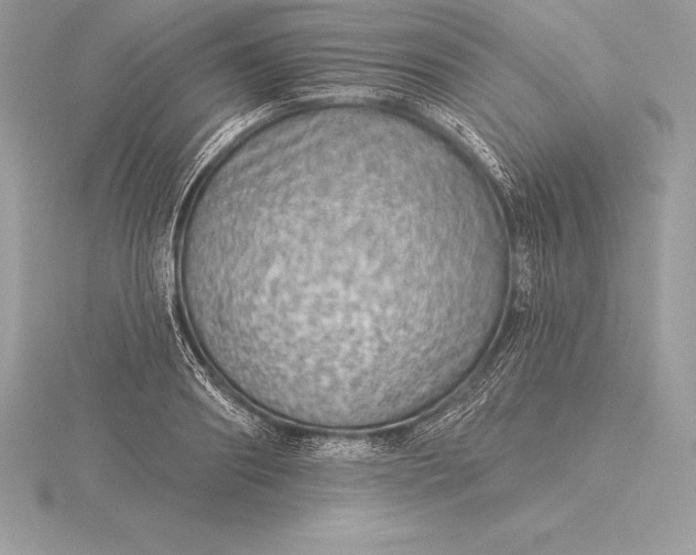 X0000115550890200911201758