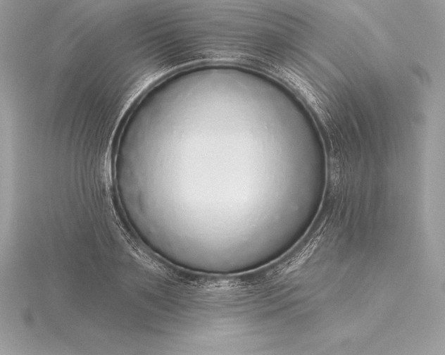 X0000115550891200911201758