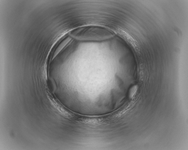 X0000115550892200911201758