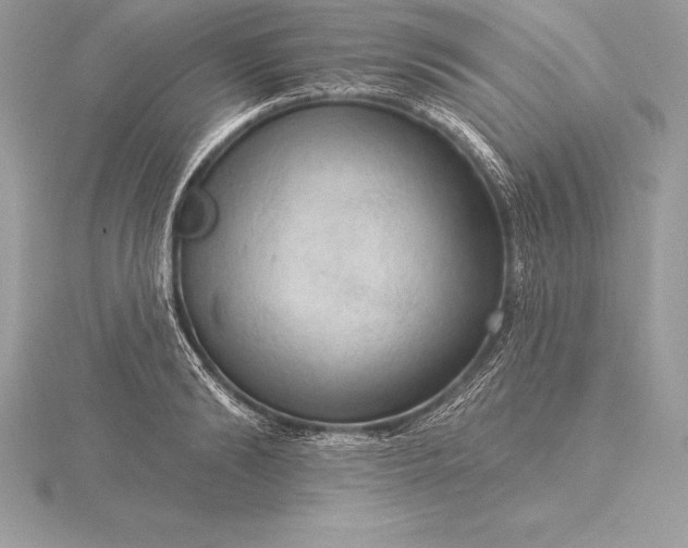 X0000115550894200911201758