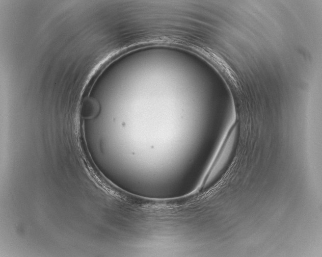 X0000115550896200911201758