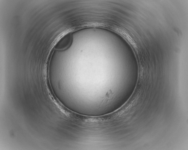 X0000115550898200911201758