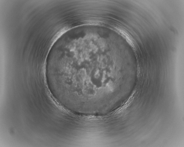 X0000115550899200911201758