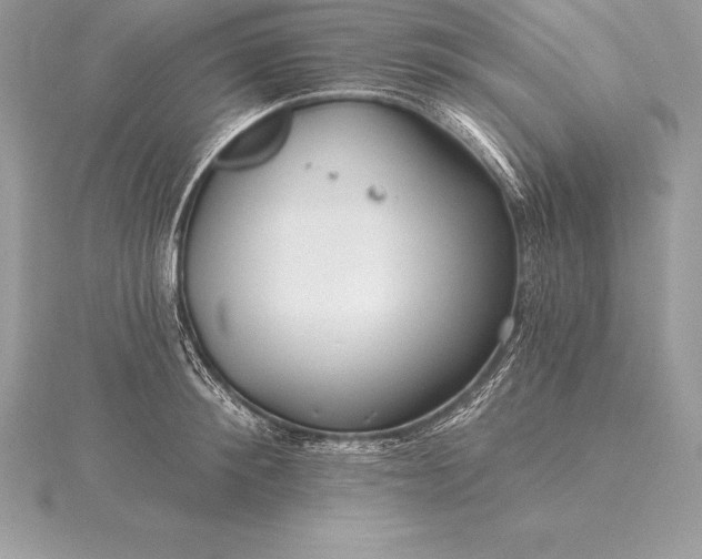 X0000115550900200911201758