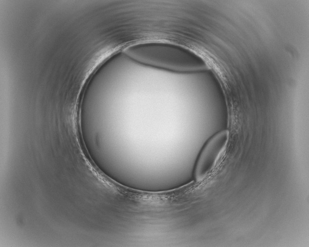 X0000115550901200911201758