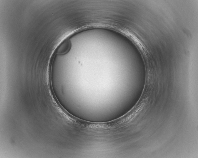 X0000115550902200911201758