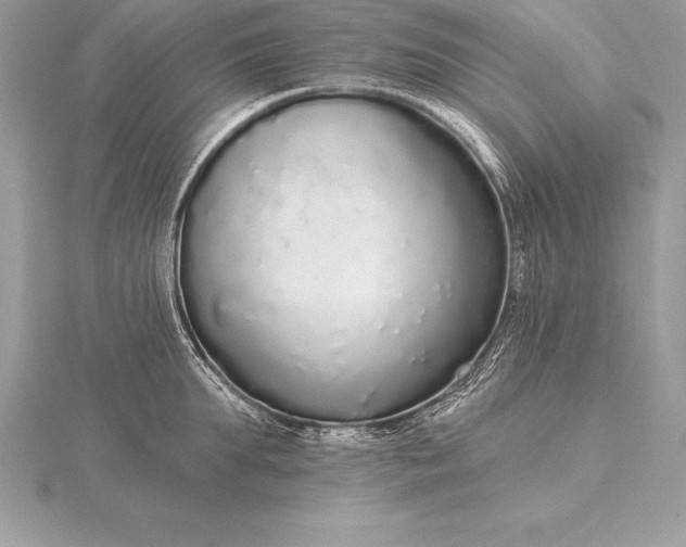 X0000115550903200911201758