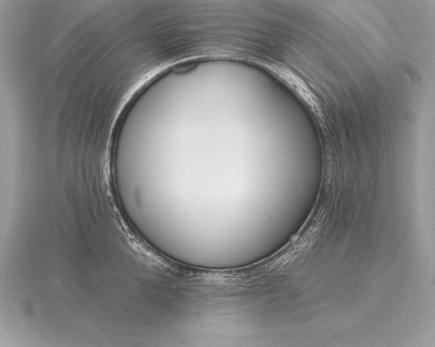 X0000115550904200911201758