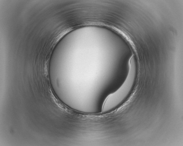 X0000115550905200911201758