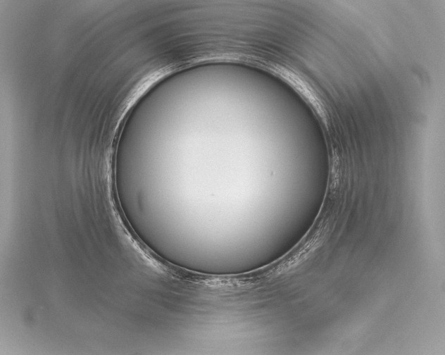 X0000115550906200911201758