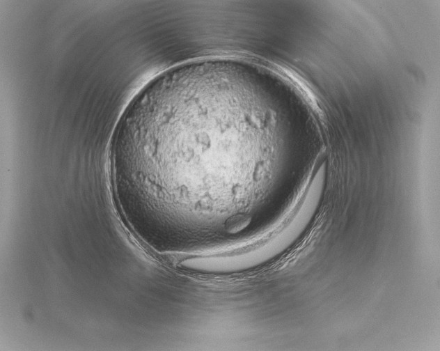 X0000115550907200911201758