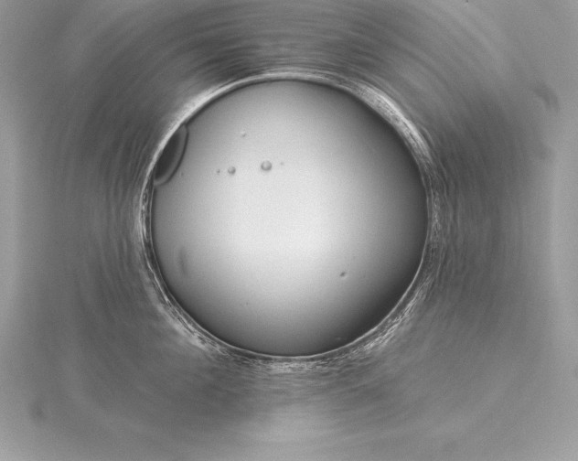 X0000115550908200911201758