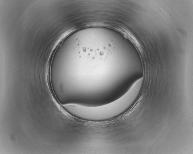 X0000115550909200911201758