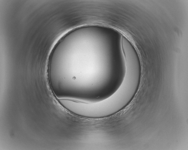 X0000115550912200911201758