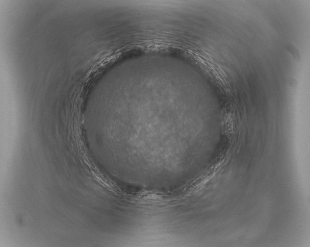 X0000115550913200911201757