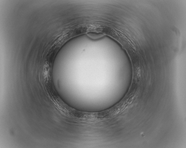 X0000115550914200911201757