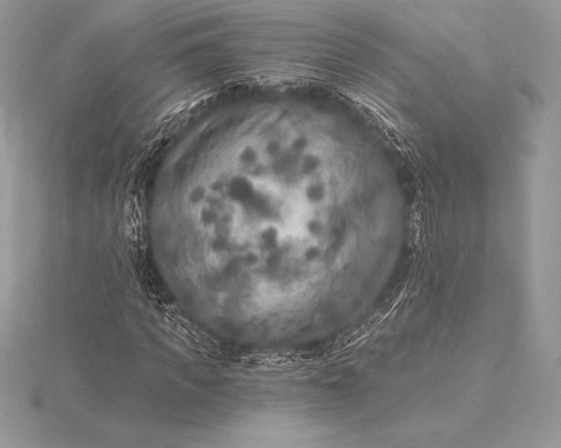 X0000115550917200911201757