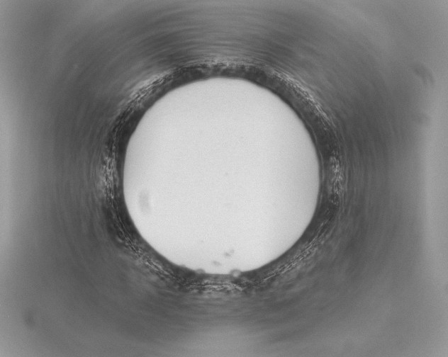 X0000115550918200911201757