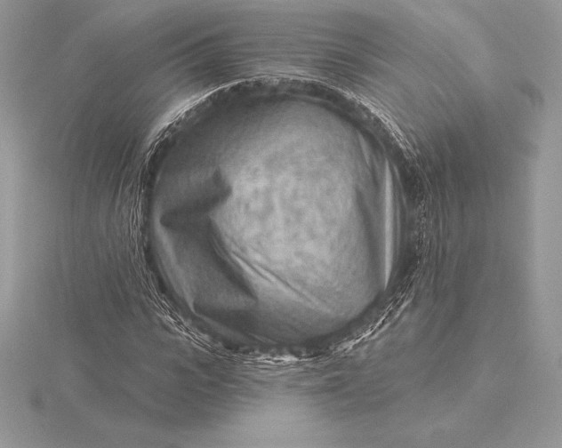 X0000115550919200911201757