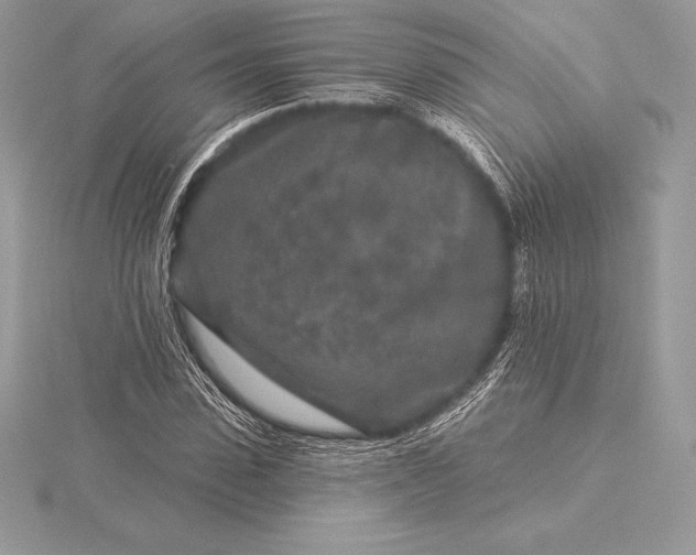 X0000115550923200911201757