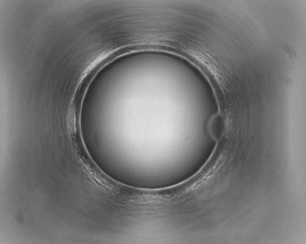 X0000115550925200911201757