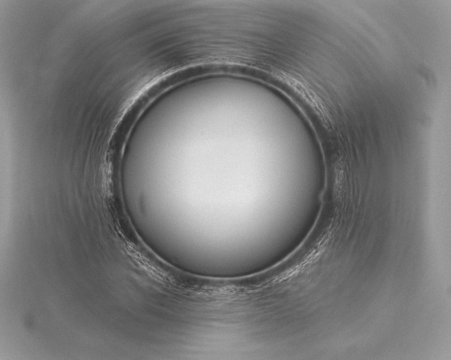 X0000115550926200911201757