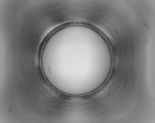 X0000115550927200911201757