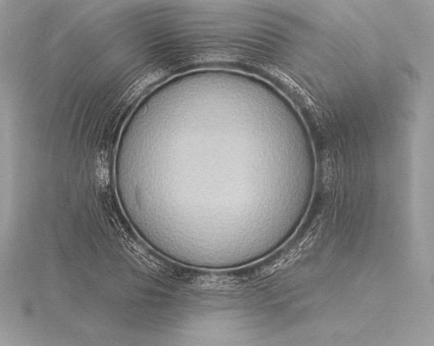 X0000115550929200911201757