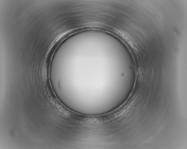 X0000115550931200911201757