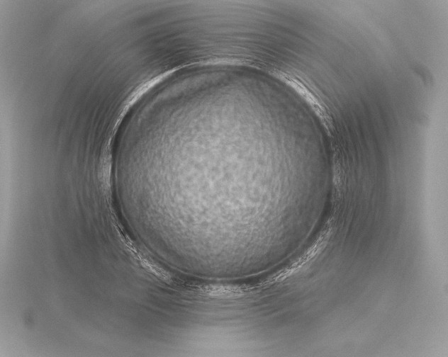 X0000115550933200911201757