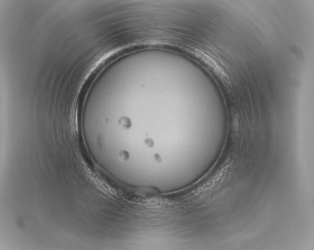 X0000115550934200911201757