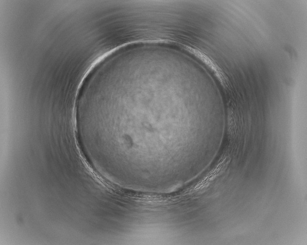 X0000115550935200911201757