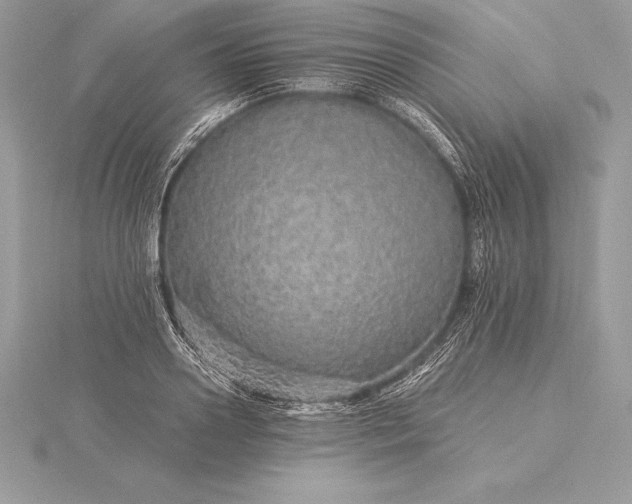 X0000115550938200911201757