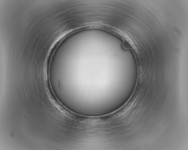 X0000115550939200911201757