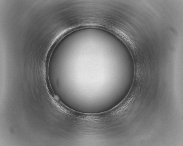 X0000115550942200911201758