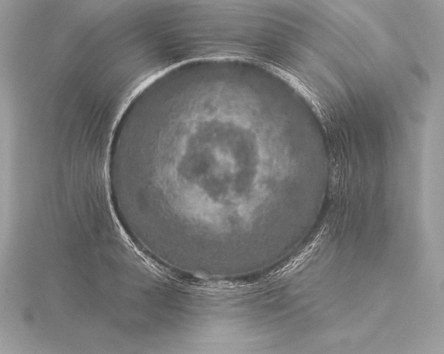 X0000115550943200911201758