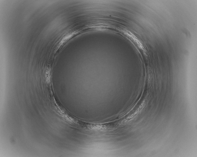 X0000115550945200911201758