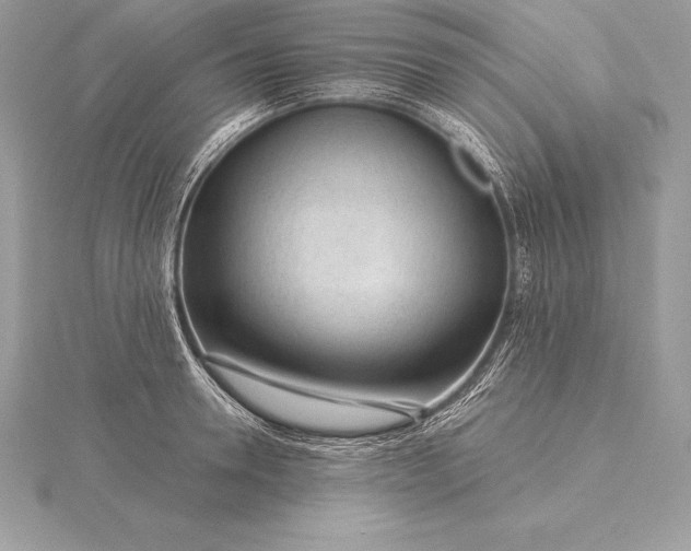 X0000115550946200911201758