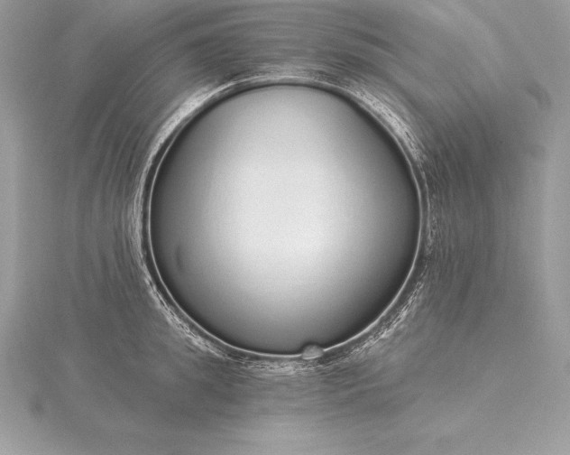 X0000115550949200911201758