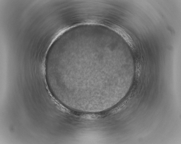 X0000115550950200911201758