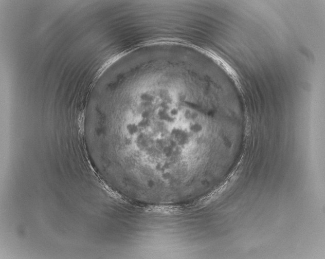 X0000115550953200911201758