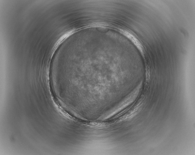 X0000115550954200911201758