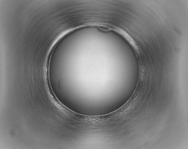 X0000115550955200911201758