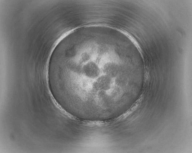 X0000115550957200911201758