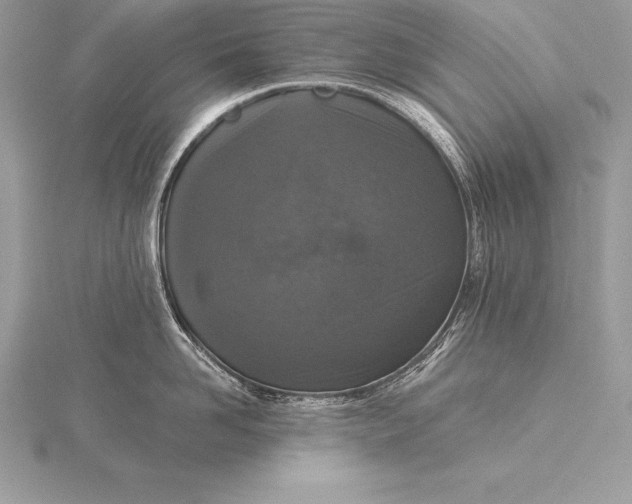 X0000115550958200911201758