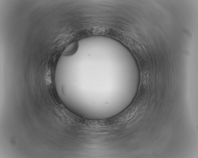 X0000115550962200911201757