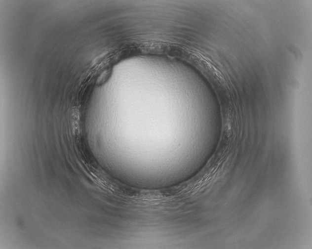 X0000115550964200911201757