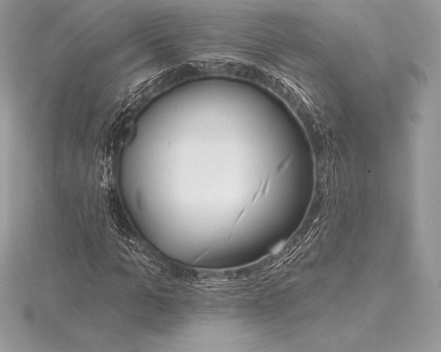 X0000115550965200911201757