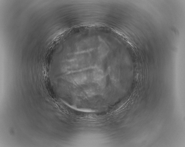 X0000115550966200911201757